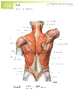 Sobotta  Atlas of Human Anatomy  Trunk, Viscera,Lower Limb Volume2 2006, page 33